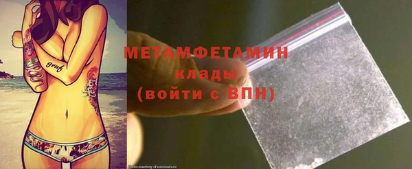 прущие грибы Покровск