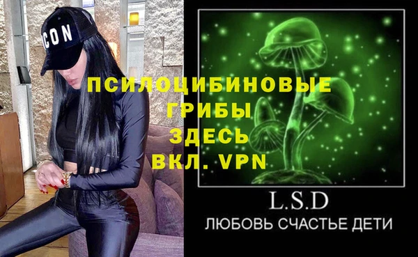 ПСИЛОЦИБИНОВЫЕ ГРИБЫ Магадан
