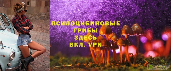 ПСИЛОЦИБИНОВЫЕ ГРИБЫ Магадан