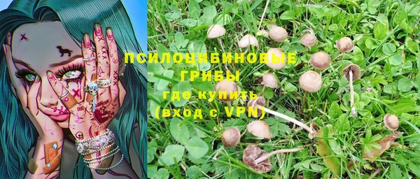 трава Магас