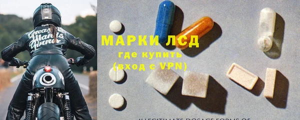 трава Магас