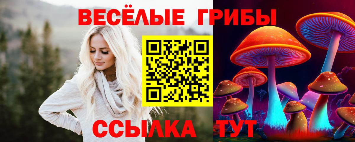 Псилоцибиновые грибы Magic Shrooms  Псилоцибиновые грибы Magic Shrooms  Кулебаки  Вход с VPN 